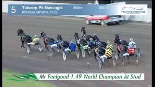 FOURS ENUF TAS - 20140513 - Menangle - Race 5 - BOHEMIA CRYSTAL PACE
