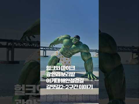 #헐크#갈맷길#바다#함께걷기#부산여행#걷기여행#청보리밭#이기대#걷기전문가