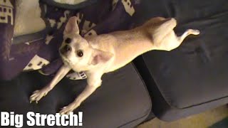 Big Stretch! • 8.22.2020