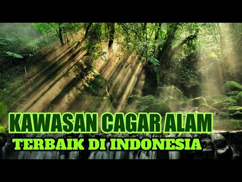 Video: Taman nasional dan cagar alam wilayah Arkhangelsk, yang patut dikunjungi