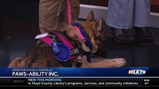Paws-Ability providing service dogs to veterans, first responders at no cost
