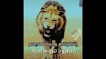 الفخامة الزعامة الشبل الحديدي𓄂 حالات واتس اب 