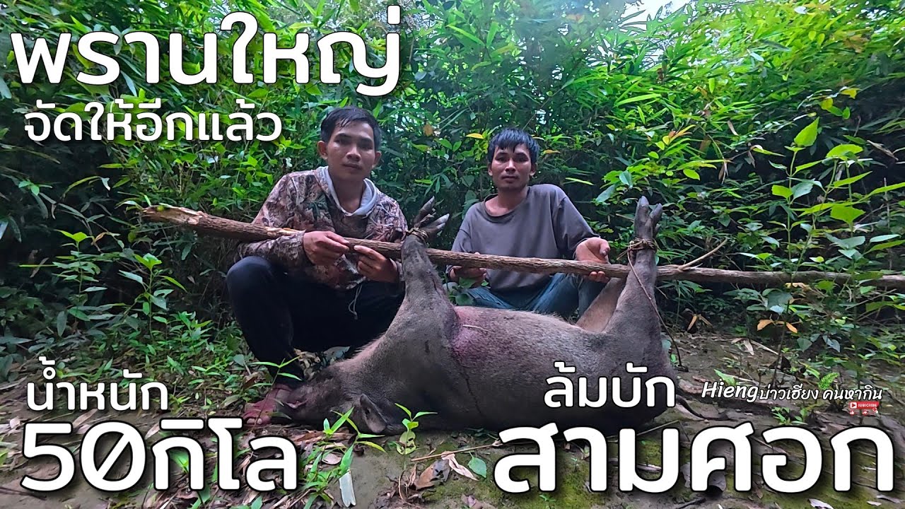 พรานใหญ่จัดบักสามศอกอีกแล้ว//ພານໃຫຍ່ຈັດບັກສາມສອກອີກແລ້ວ Hieng บ่าวเฮียง คนหากิน