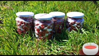 Măceșe Conservate Cu Zahăr-Rosehip Preserved With Sugar Everything For Everyone