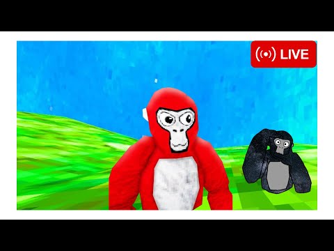 Playing Gtag With YOU In Code ZONEY by ZONEY