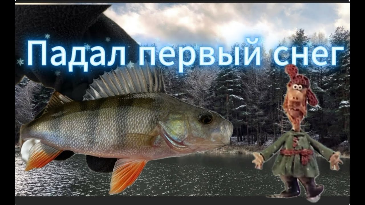 Рыбалка в тишине первого снега: окунь на микроджиг