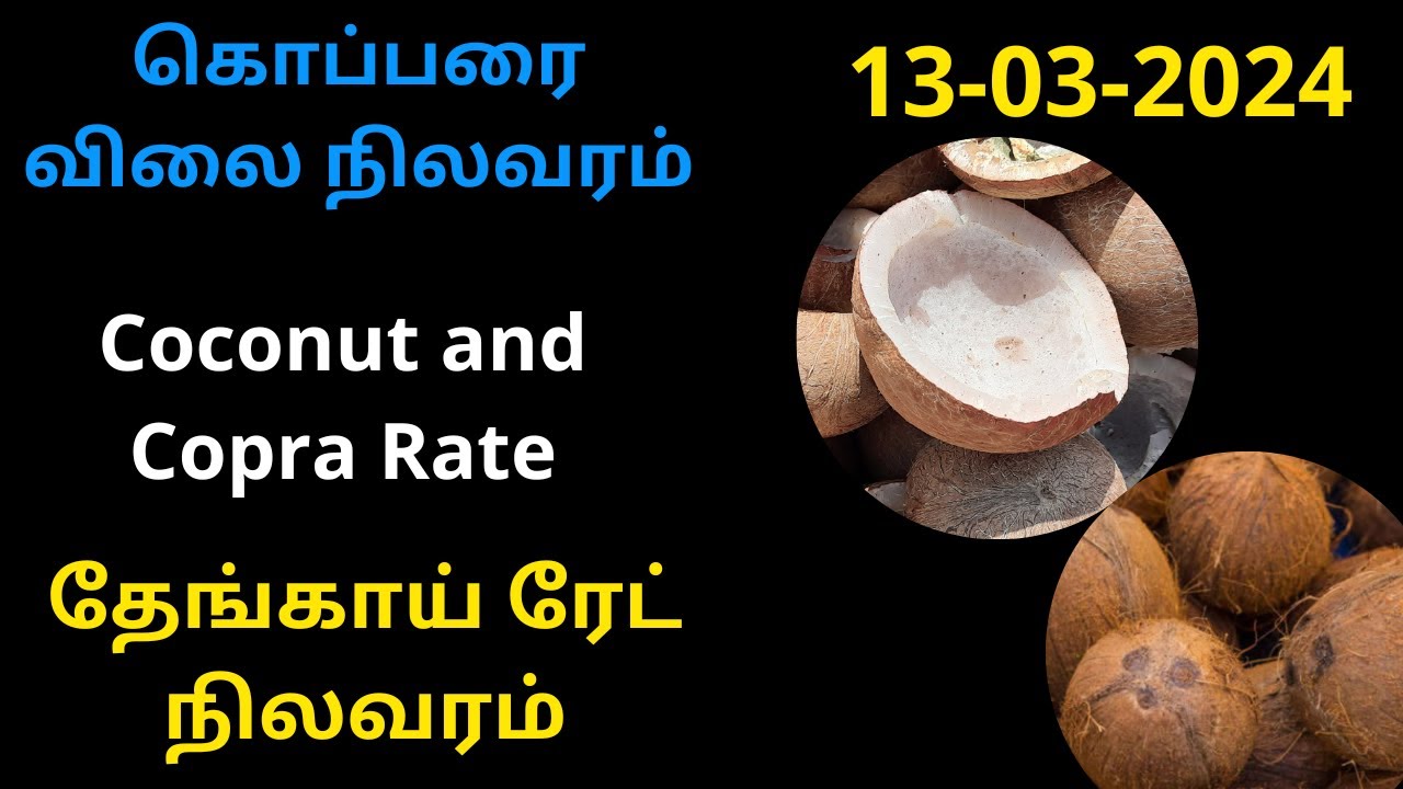 Modakurichi கொப்பரை விலை நிலவரம் | தேங்காய் விலை நிலவரம் | Modakurichi Coconut and ...