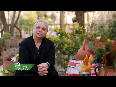 #არტიშოკი ყოფილი პედაგოგის ზრუნვა გარემოზე ვარკეთილში