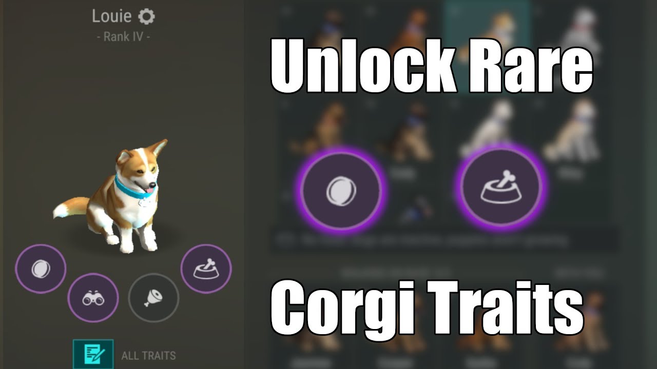 Corgi Protecc, A Short Survival Game