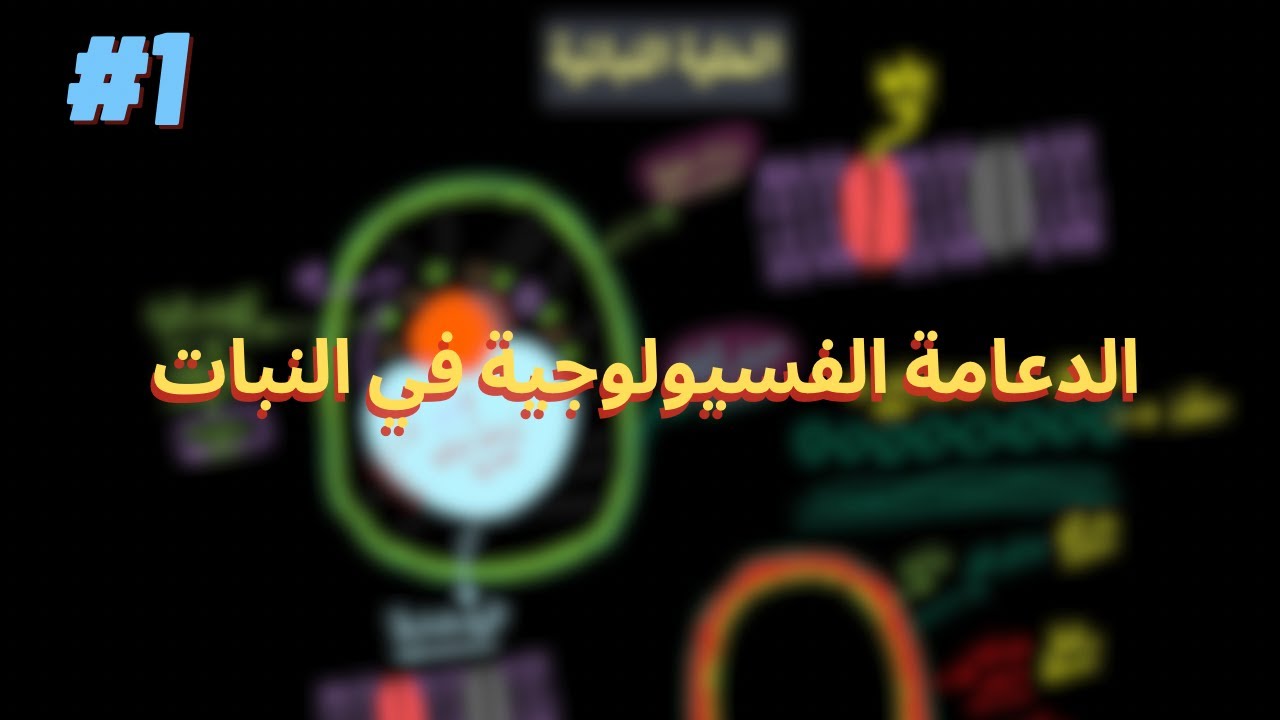 الدعامة الفسيولوجية في النبات || أحياء ثانوية عامة 2024
