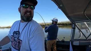 Napa River Striper Report and Trolling Tutorial #MrSweeney #Sweeneyssports