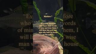 You are being called!! ✝️☀️#god #jesus #jesuslovesyou #bible #biblevers #vers