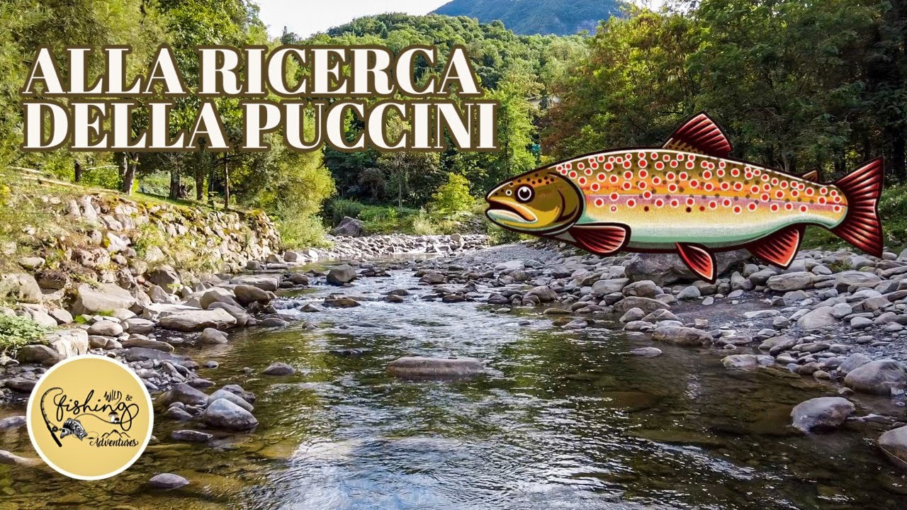 SPINNING alla TROTA in ALTO LEO | Settembre 2024