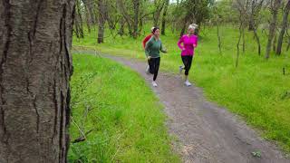 It's your Wilderness: Wilderness Park - Lincoln, NE Lincoln Ne Wilderness Park