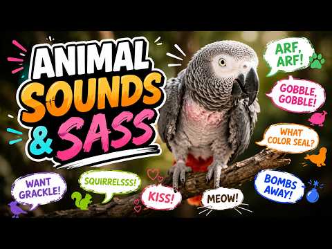 Einstein Parrot's Animal Sounds & Sass! 😂🐦