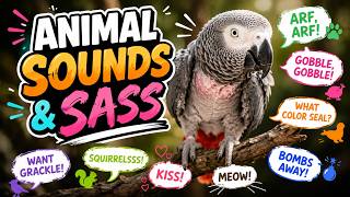 Einstein Parrot's Animal Sounds & Sass! 😂🐦