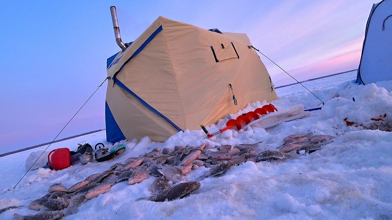 ПЕРЕЕХАЛ и ОПУСТИЛ КАМЕРУ а ТАМ РЫБЫ? КАМЫШИ заходили ХОДУНОМ от НИХ ...
