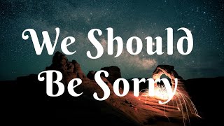 Download Lagu Axel Johansson - We Should Be Sorry (Lyrics) MP3