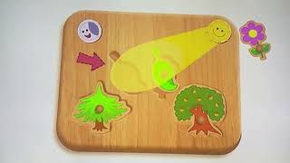 Babyfirst Shapes & Sizes Oak Tree Pine Tree Leaf Flower