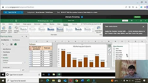 Excel Module 7 Sam Exam | Excel Module 7 Sam Exam