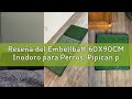Reseña del Embellbatt 60X90CM Inodoro para Perros, Pipican para Perros en Casa,Bandeja Empapadores,