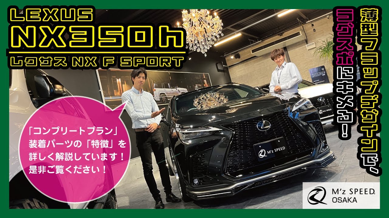 【未開封】レクサス LEXUS NX F SPORT 2023 Lexus NX: F Sport Package, Hybrid Trim Levels, Fuel Economy