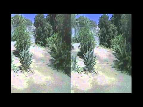 NerdCam3D Bee Flight DominatorHD DVR