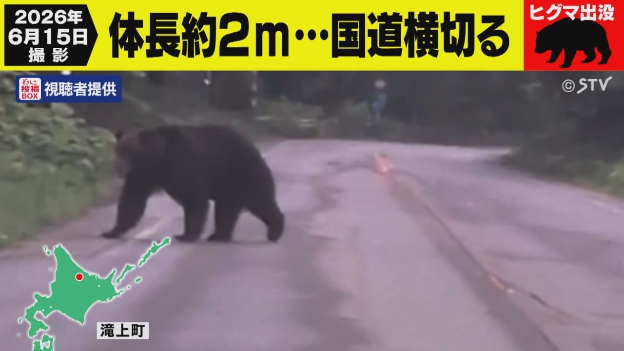ヒグマ出没】 体長2メートル…国道を横切る 北海道滝上町 - YouTube