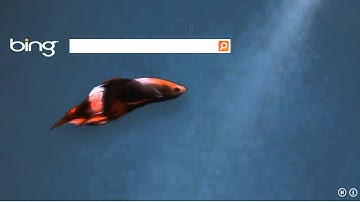 Bing Windows 8 "Beta" Consumer Preview Launch Video