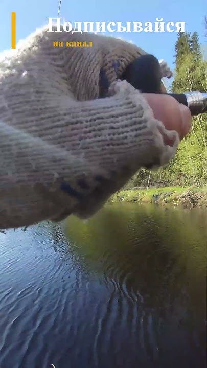 Щуренок на джиг #щука #fishing #рыбалка - YouTube