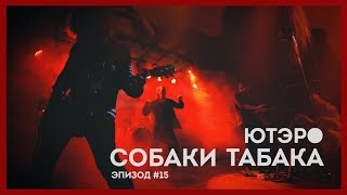 картинка: СОБАКИ ТАБАКА // ЮТЭРО ЭПИЗОД #15 // UTERO EPISODE #15