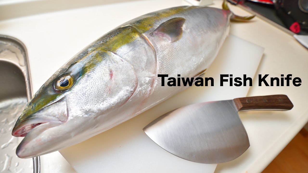 骨スキ包丁とスプーンを使って黒鯛を捌く 藤次郎藤寅作 鯛のさばき方 魚さばき Youtube