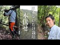 原木しいたけ栽培　ホダ木の本伏せ。ダラダラと長いです。さらに、本伏せをやり始めるのは、45分過ぎからです。