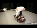 Roger gracie guard pass