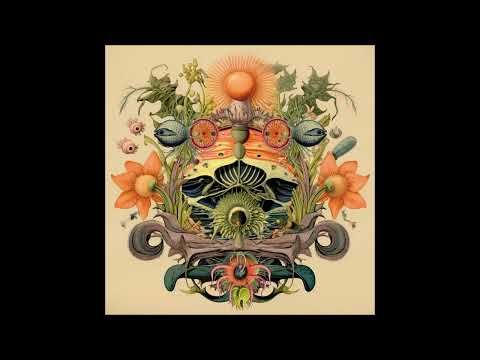 Pattn, Adnan Khadra - My Celia