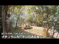 「手作りの庭と暮らし」ほったらかしで楽しめるナチュラルガーデン
