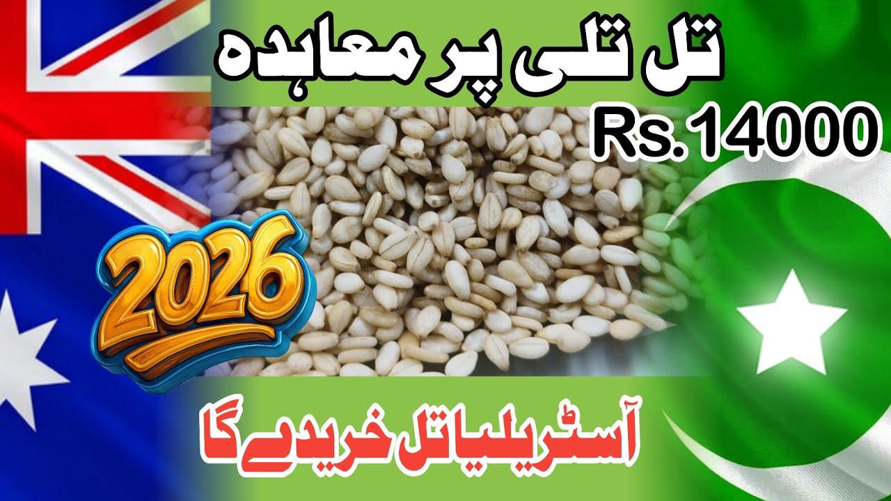 Big News: Australia Demand Could Boost Pakistan Sesame Prices in 2026