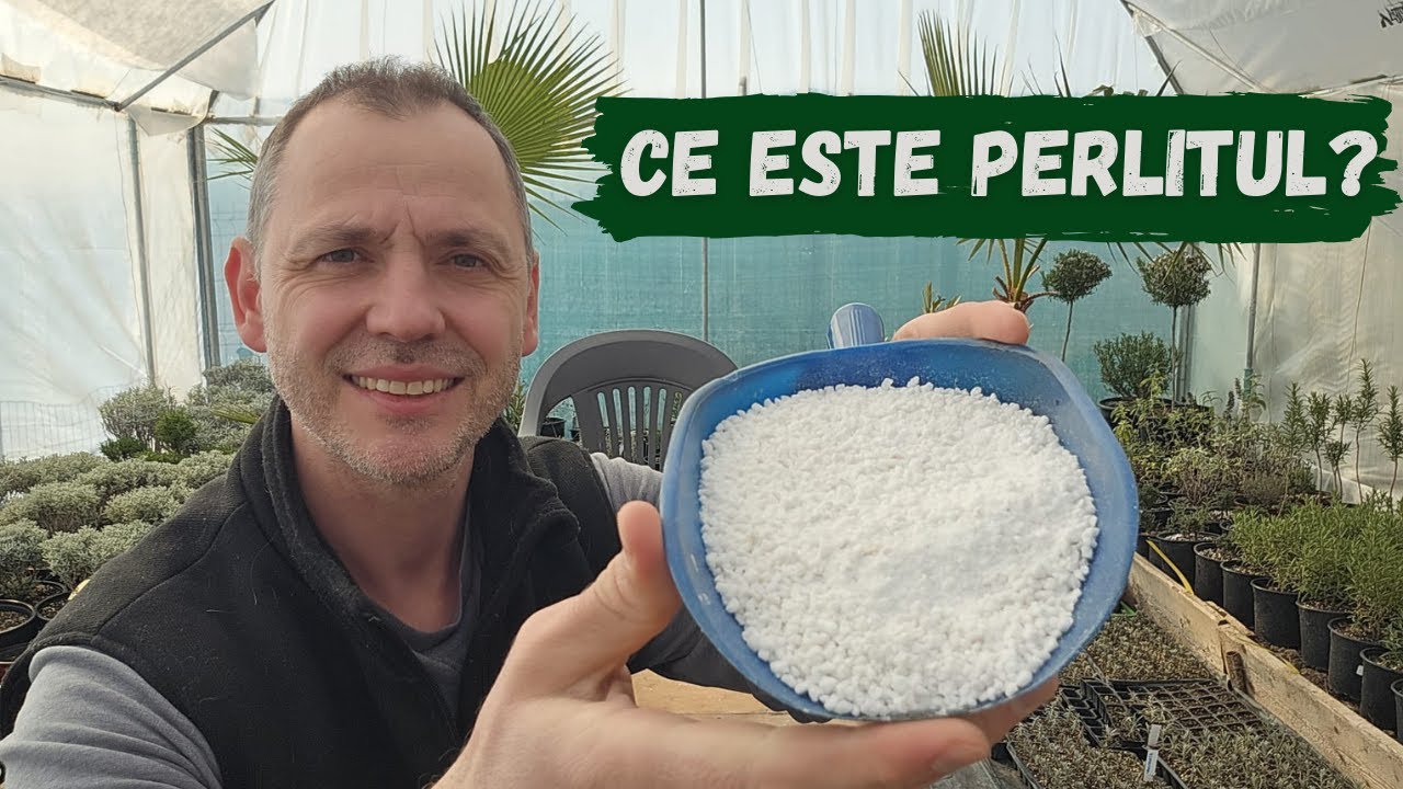 Ce este Perlitul si cum se foloseste!