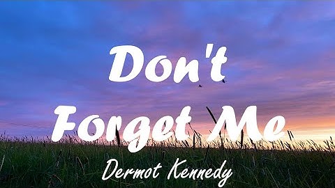Dermot Kennedy - Don