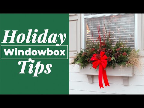 How to Design a Winter Windowbox Using Evergreens containergardening holidaydecor wintergarden