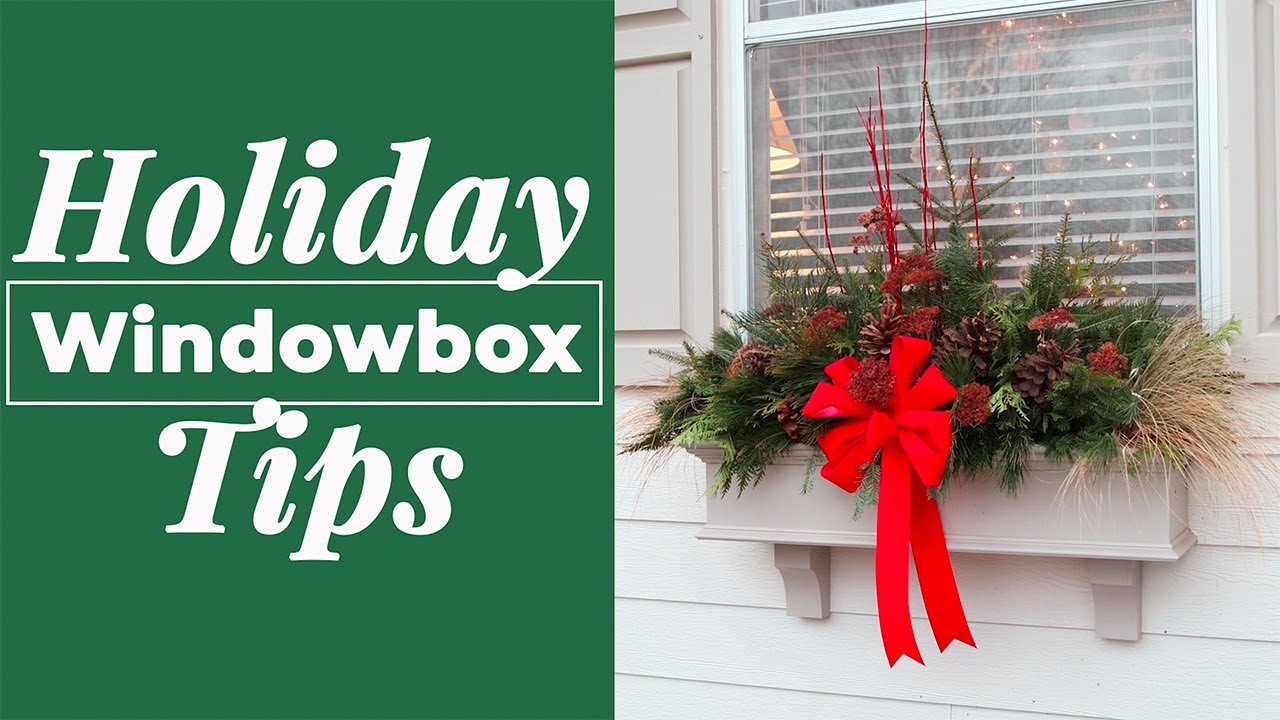 🌲 Как оформить зимний оконный ящик с помощью вечнозеленых растений 