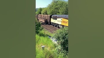 Colas railfreight class 56 56051 “survival” on a log train passing llantrisant west level crossing