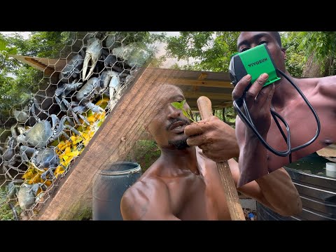 This is all I feed my crab, planting sweet pepper in garden and dragon fruit
