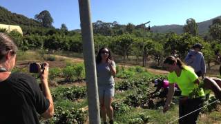 Trip to Morning Star Ranch, Valley Center CA.