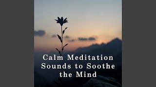 Calm Beneath Endless Horizons