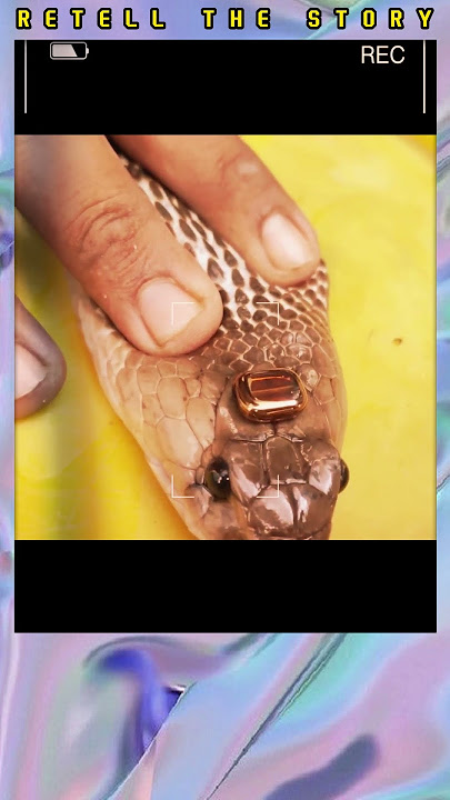 gemstone inside the snake's head