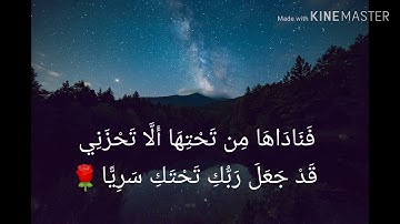 للقارئ احمد نفيس سورة مريم💚فناداها من تحتها....🖤