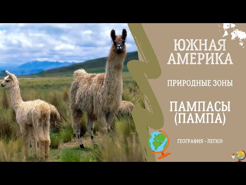 Южная Америка. Пампасы. Природные зоны. География - легко!