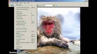 IrfanView Resize and decrease colors