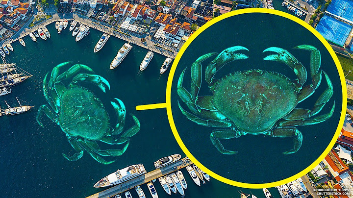 Giant Crabs Take Your City, but You Know the One Way to Stop Them